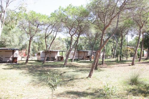 Camping Golfo dell'Asinara