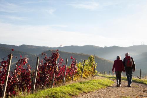 Hotel Gasthaus Adler - image 13