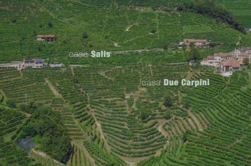 Agriturismo due Carpini - image 3