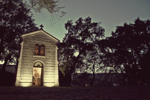 Palace Hotel & Spa - Termas de Sao Vicente - main image