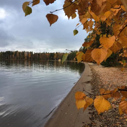 Hotel & Hostel Tallukka - image 12