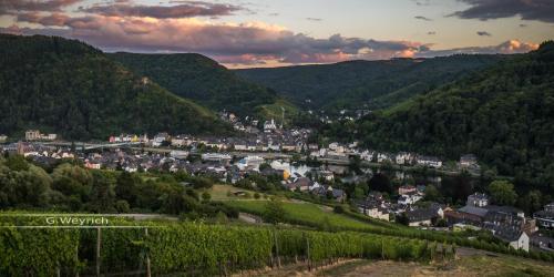 Ferienweingut Göbel