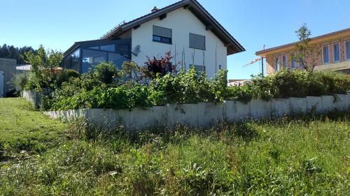 Eistobel und Felderhalde