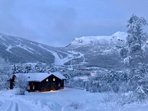 Accommodation in Hemsedal