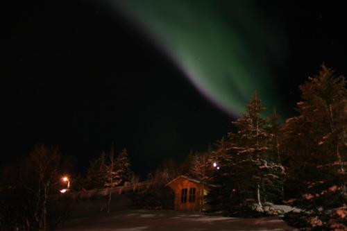 The Herring Guesthouse - image 12