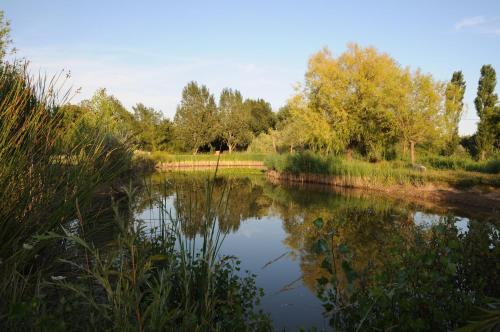 Domaine De La Bégude