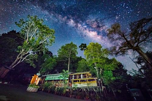 . Borneo Tropical Rainforest Resort