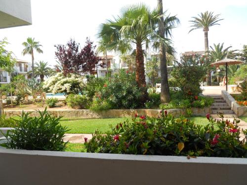 Las Velas Esparver - image 9