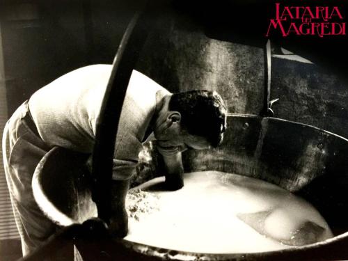 Lataria dei Magredi 2