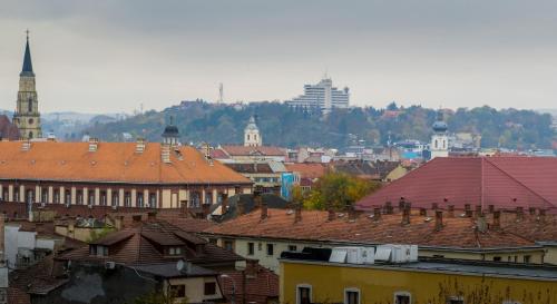 Downtown Wonder Apartament - image 4