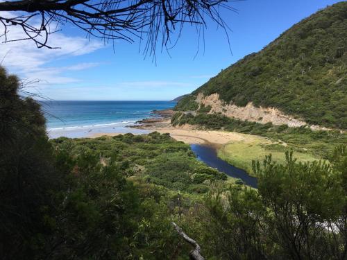 Cumberland River Holiday Park Great Ocean Road - Lorne