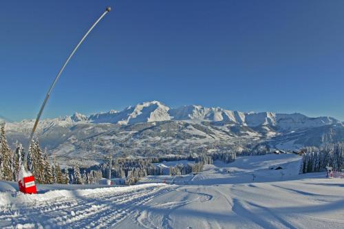 Chalet Caprice des Neiges - Hotel - Combloux
