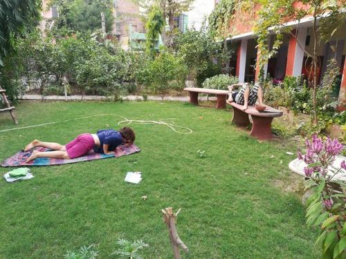 Jungle Lodge Bharatpur India
