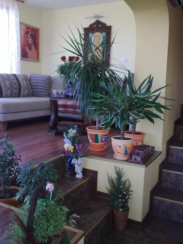 Guest House Slivek - image 12