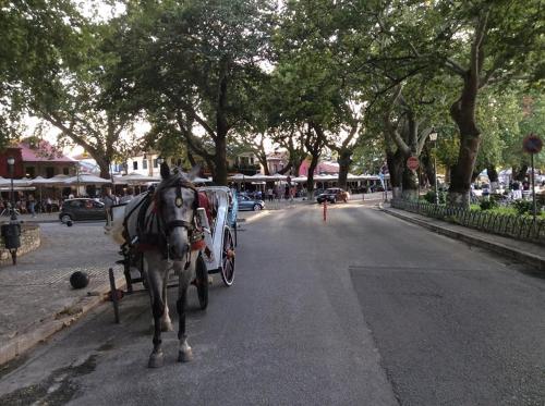 ΙΩΑΝΝΙΝΑ ΚΑΣΤΡΟ in Ioannina
