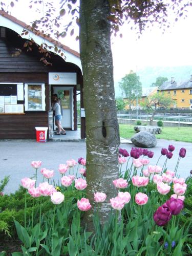 Flåm Camping & Cabins - image 6