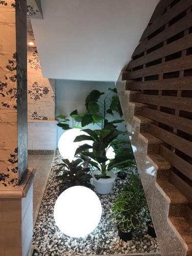 Restaurant, Negresco Hotel in Marsa Matruh