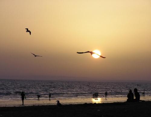 Punta Umbría Playa Ria