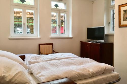 Appartment Villa am Bretschneiderpark, Lipsk (zdjęcie 11)