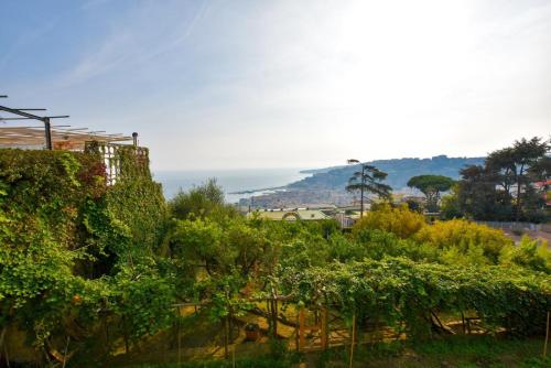 Sunplace, Naples (photo 6)
