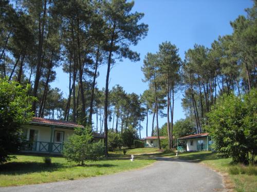 DOMAINE des GRANDS PINS - image 14