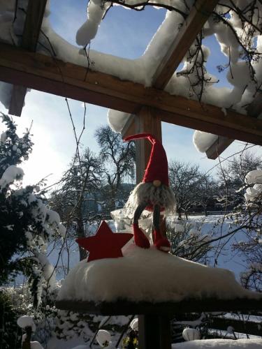 Alpbach Apartments - image 5