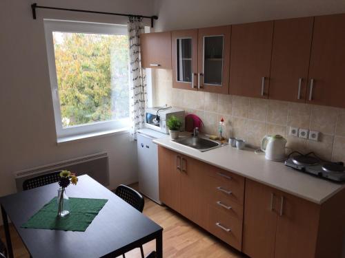 Apartmany Viktorka in Cerny Dul