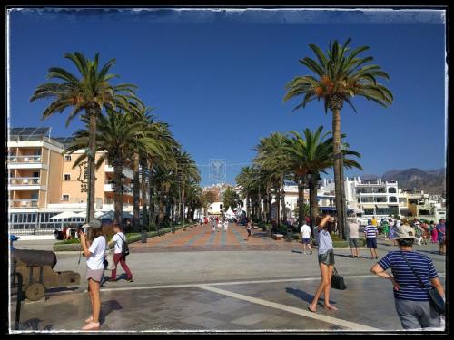 Hostal Andalucia - image 4