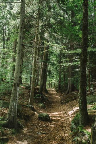 WERANDA z widokiem na Karkonosze – Szklarska Poreba, ND