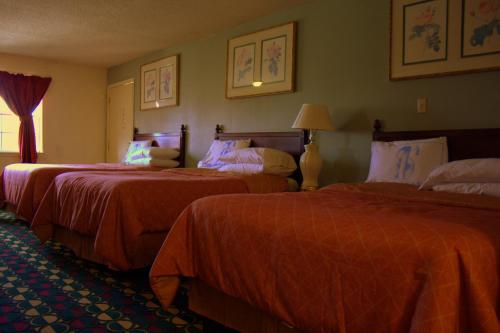 Somerville Inn and Suites - image 5