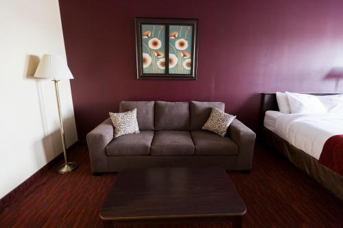 Argyll Plaza Hotel - image 4