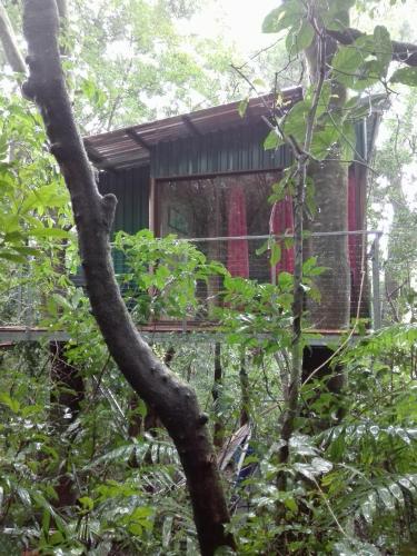 The Green Tree Lodge Monteverde