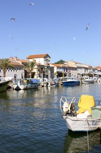 Hôtel Restaurant Splendid Camargue - image 7