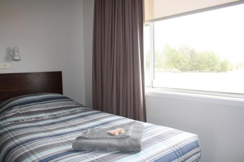 . Isis Motel Scone