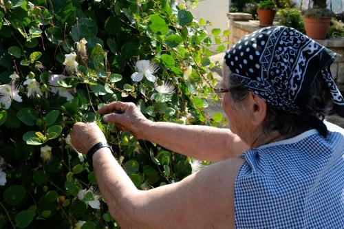Agriturismo Laire Alberobello Serri - image 3