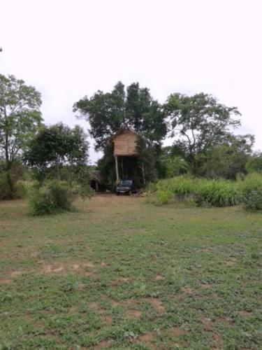 Habarana Eco Treehouse
