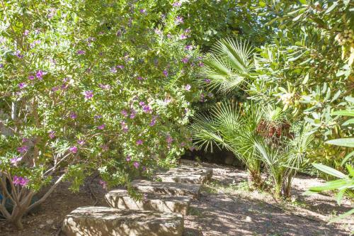 Villa Cala Padri - image 3