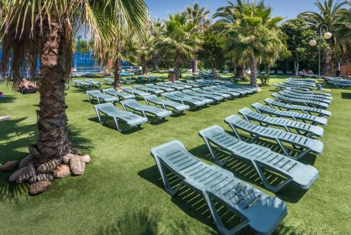 Camping Solmar - image 9