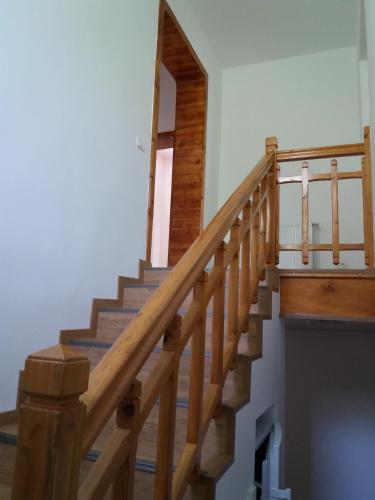 Vila Viitorul