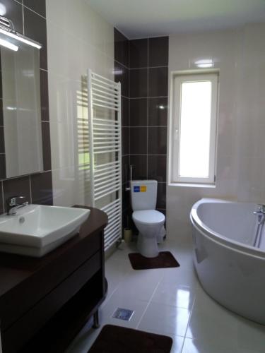 Vila Viitorul - main image