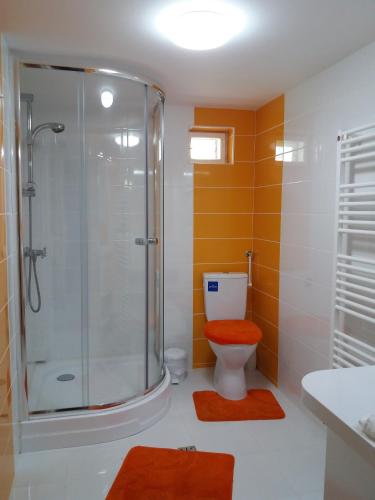 Vila Viitorul