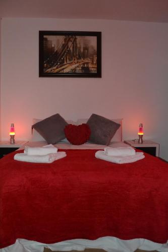 Forest In City Lodge chambre d'hôte Custom House Hotel