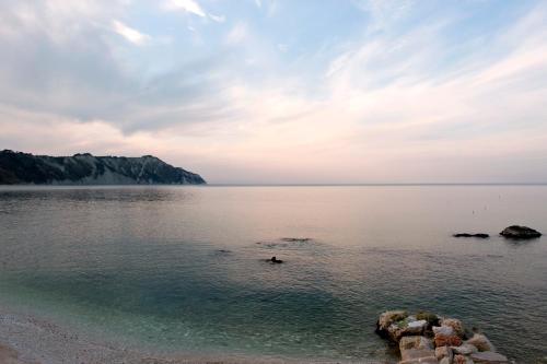 Hotel Emilia - image 12