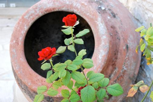 Vavla Rustic Retreat - image 2
