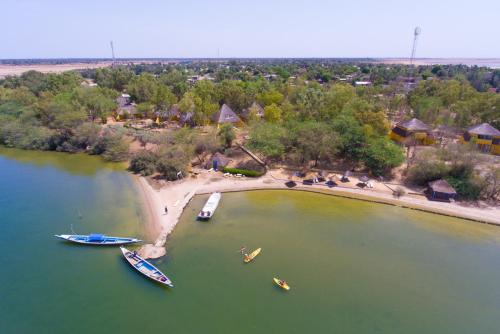 le pelican du saloum