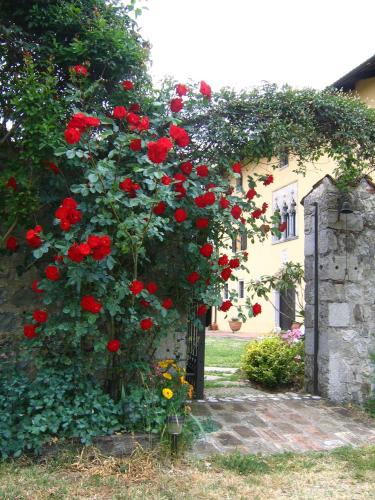 Agriturismo Domus Magna