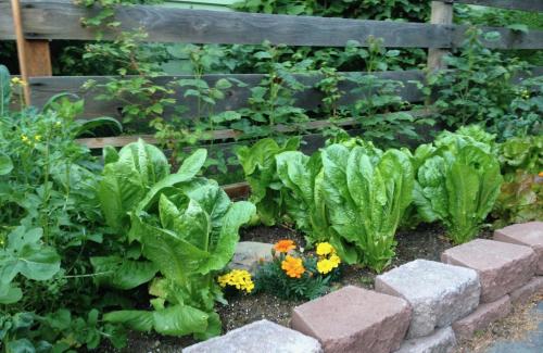 Gardenside Bed and Breakfast