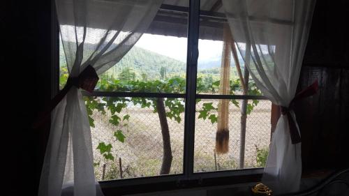 %name Bee Bee Home น่าน