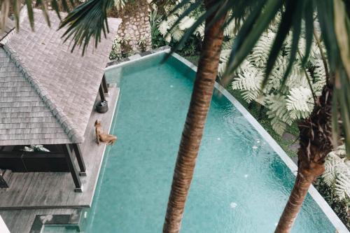 Villa Naga Putih photo 1