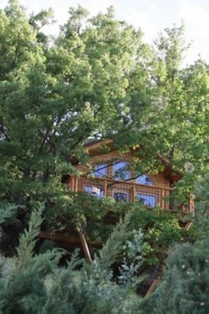 Superior Tree House with Hot Tub